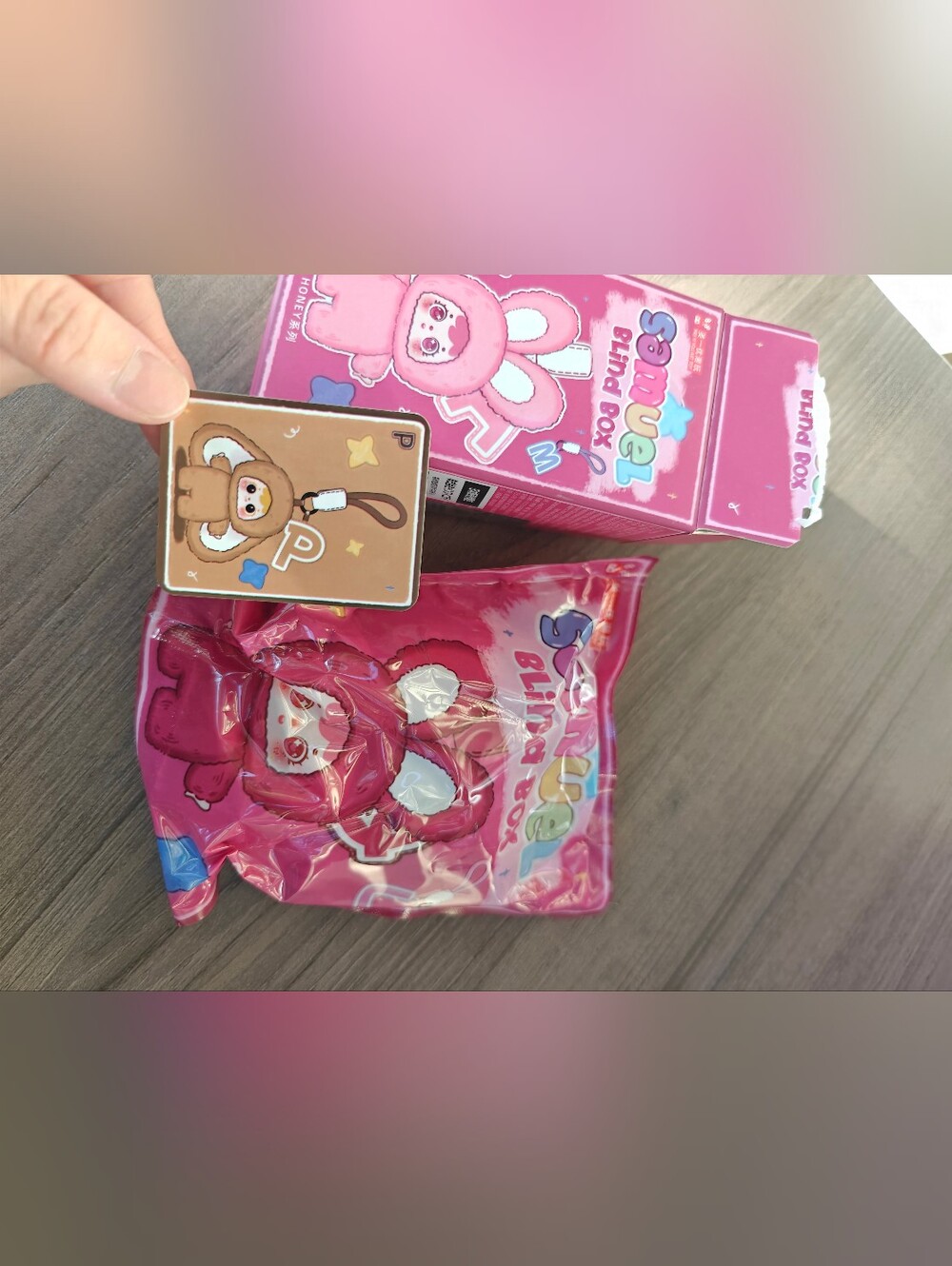 Samuel Tiny Honey Series Plush Blind Box in Pink & Brown
